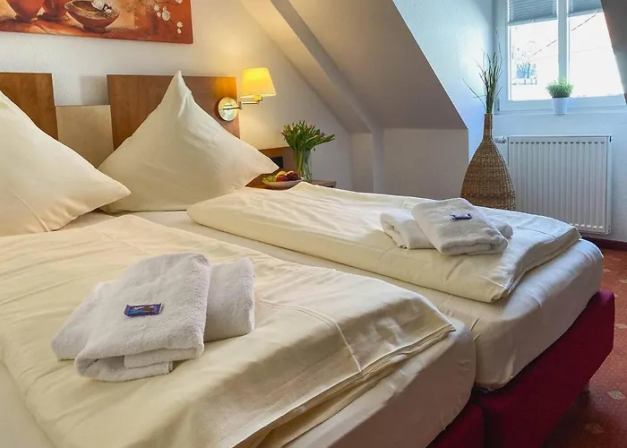 Schlossblick Sondershausen